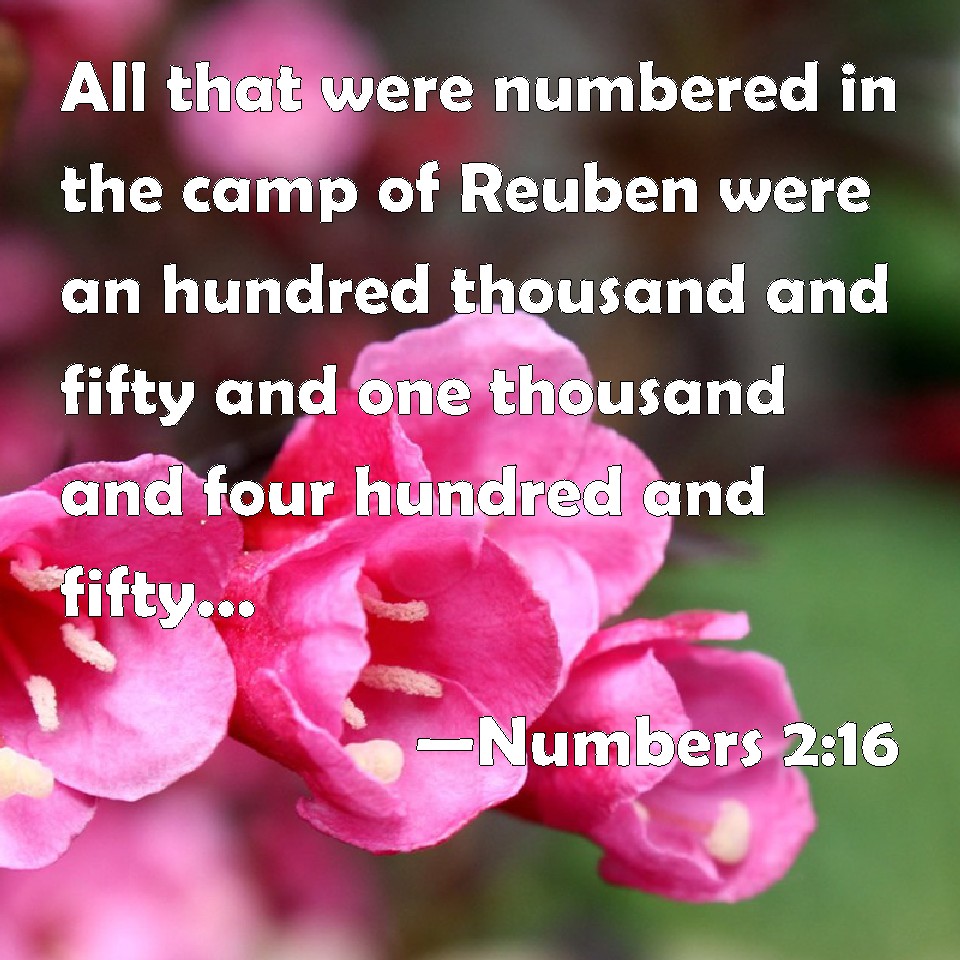 numbers-2-16-all-that-were-numbered-in-the-camp-of-reuben-were-an