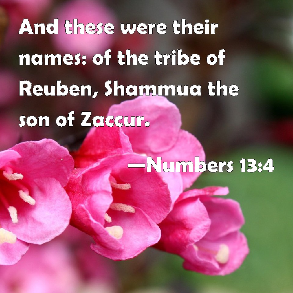 numbers-13-4-and-these-were-their-names-of-the-tribe-of-reuben