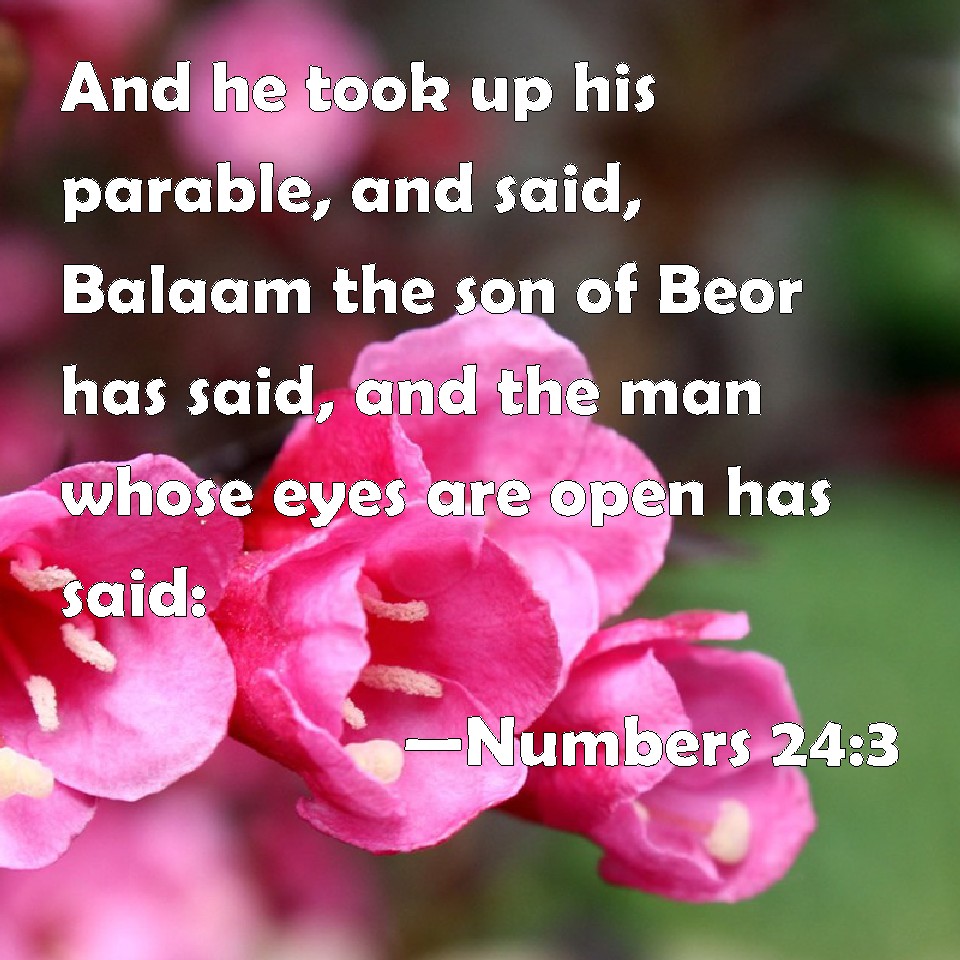 numbers-24-3-and-he-took-up-his-parable-and-said-balaam-the-son-of