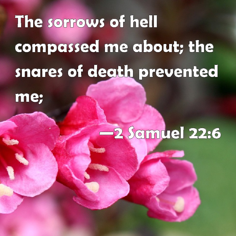 2 Samuel 22:6 The sorrows of hell compassed me about; the snares ...