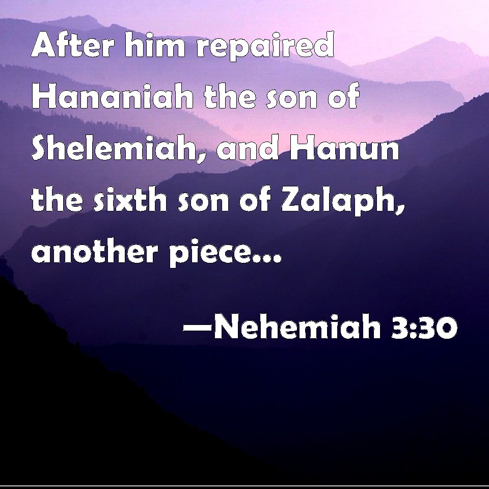 Nehemiah 3:30 After him repaired Hananiah the son of Shelemiah, and ...