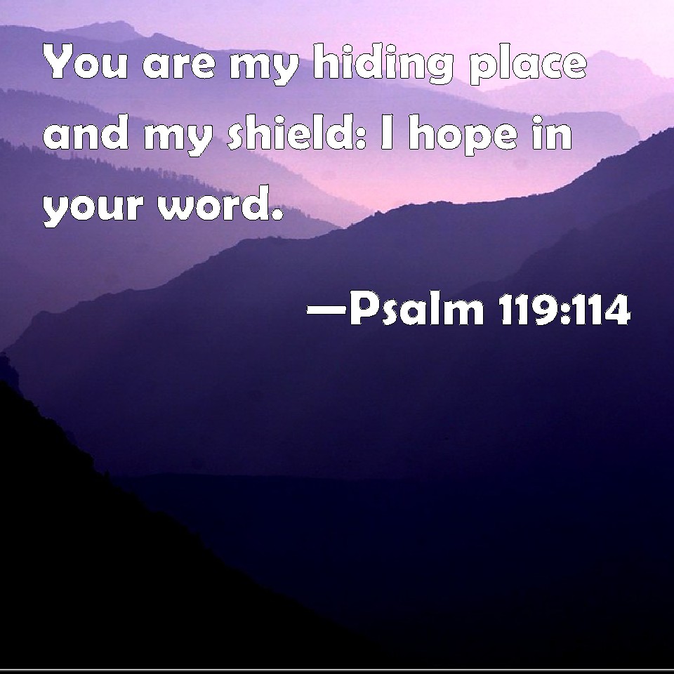 Psalm 119:114 You are my hiding place and my shield: I hope in your word.