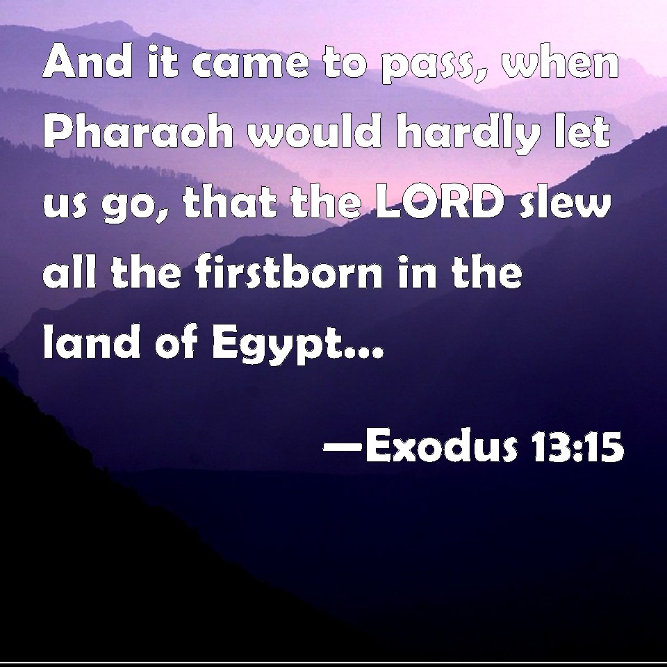 Exodus 13:15 And it came to pass, when Pharaoh would hardly let us go ...