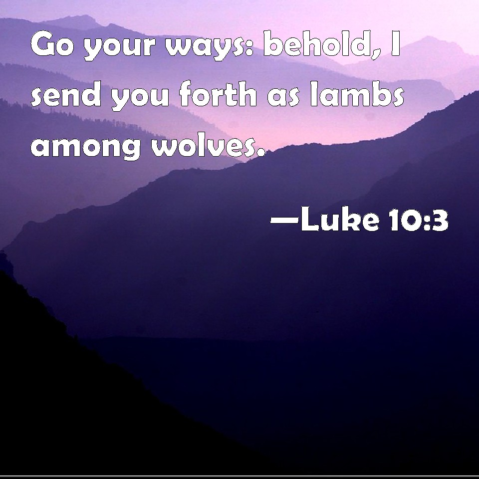 Luke 10:3 Go your ways: behold, I send you forth as lambs among wolves.