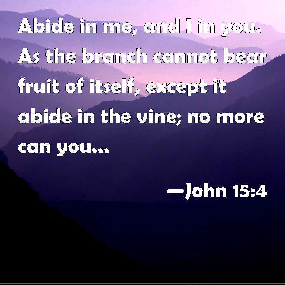 What Does The Word Abide Mean In John 15