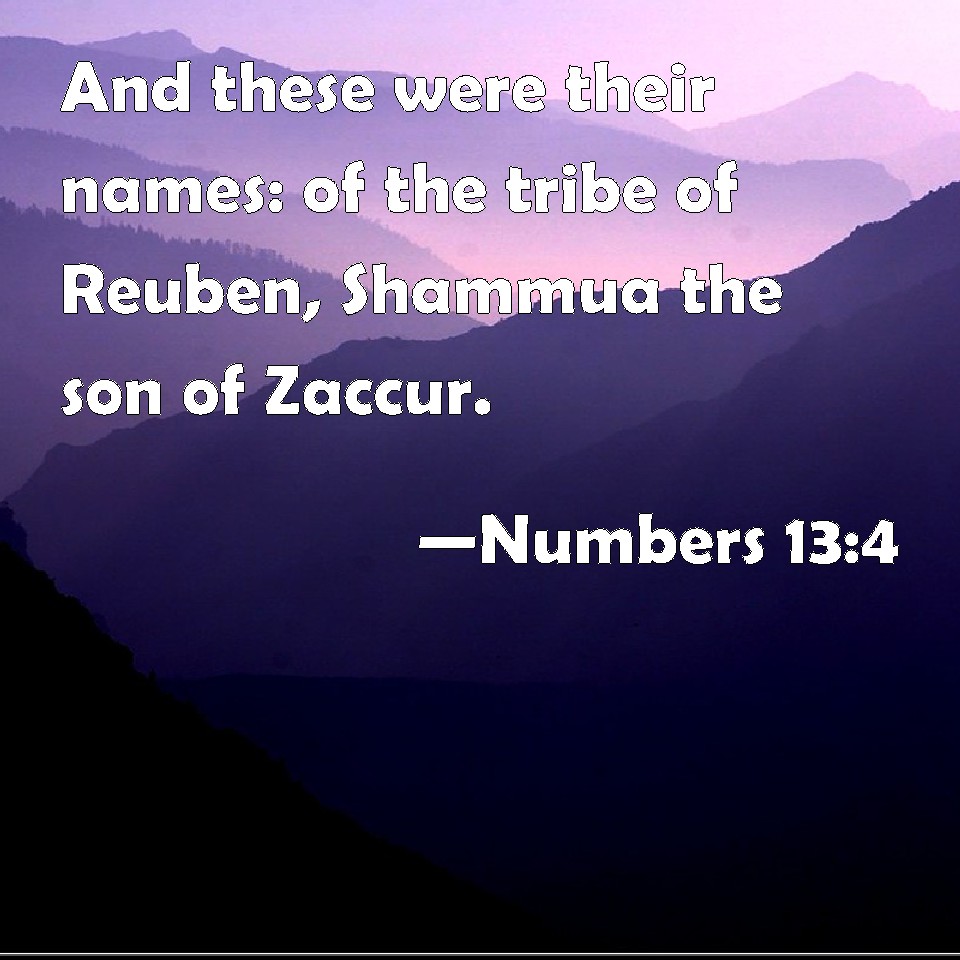 numbers-13-4-and-these-were-their-names-of-the-tribe-of-reuben