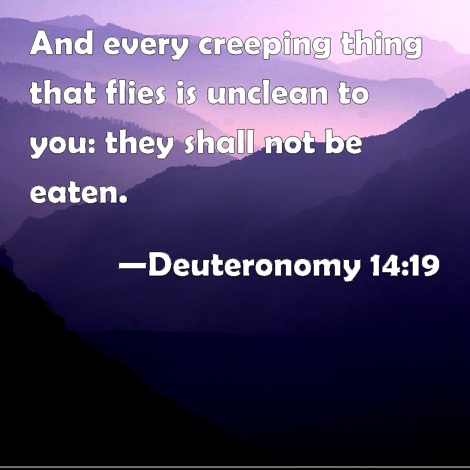 deuteronomy-14-19-and-every-creeping-thing-that-flies-is-unclean-to-you