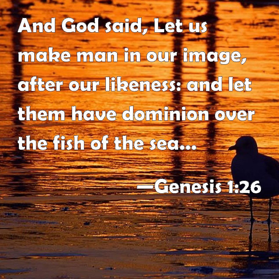 Genesis 1 26 And God Said Let Us Make Man In Our Image After Our