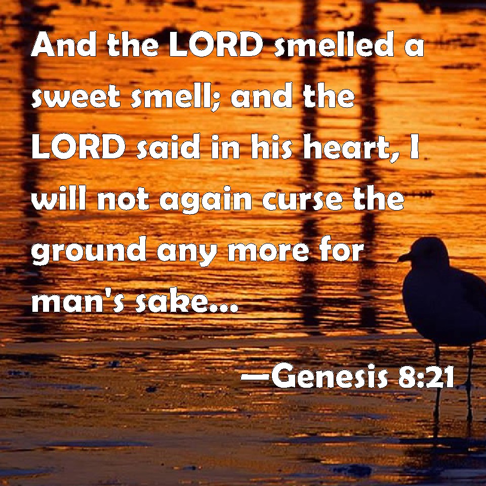 Genesis 8:21 And the LORD smelled a sweet smell; and the LORD said in his  heart, I will not again curse the ground any more for man's sake; for the  imagination of