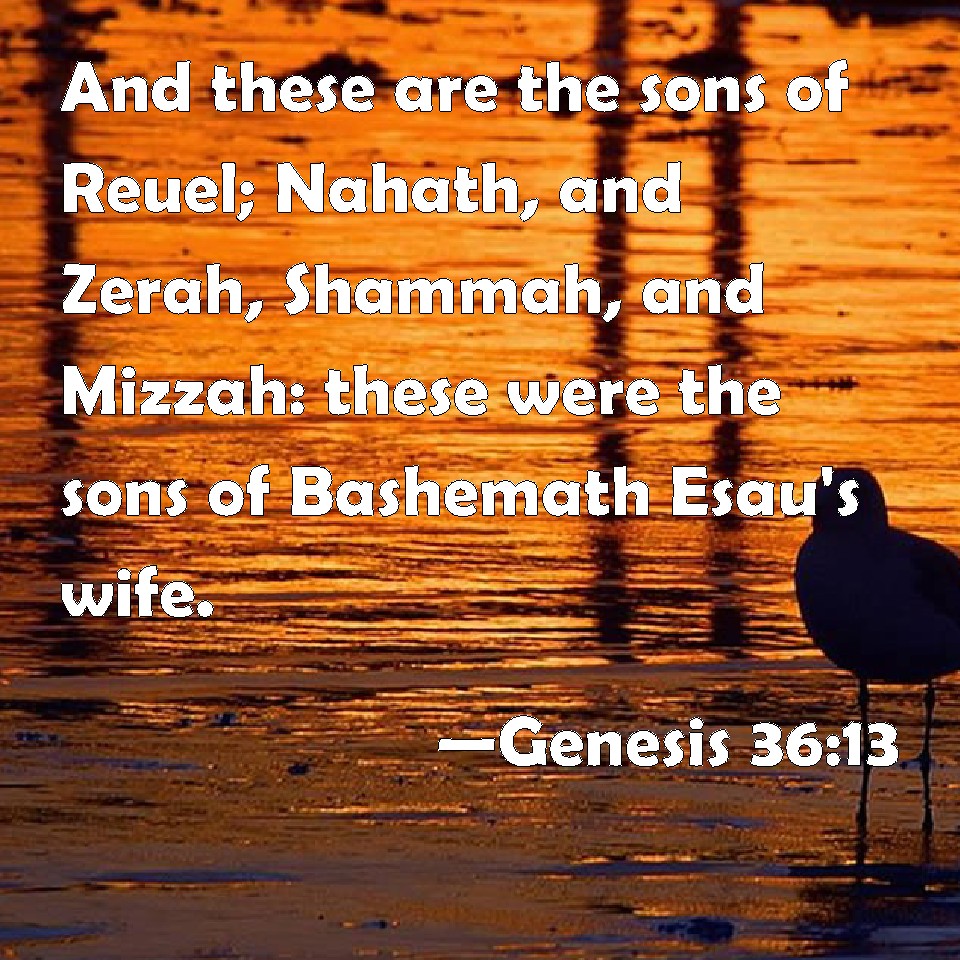 Genesis 36:13 And these are the sons of Reuel; Nahath, and Zerah ...