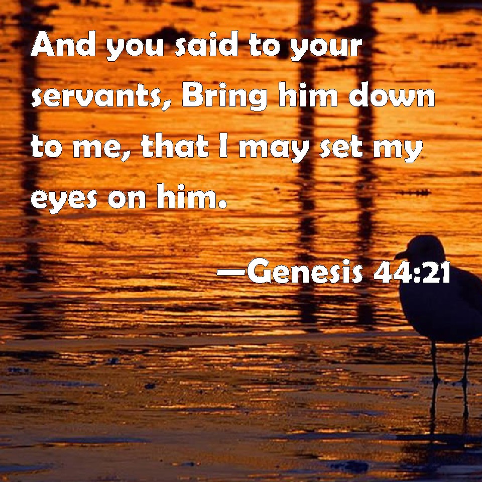 Genesis 44:21 And you said to your servants, Bring him down to me, that ...