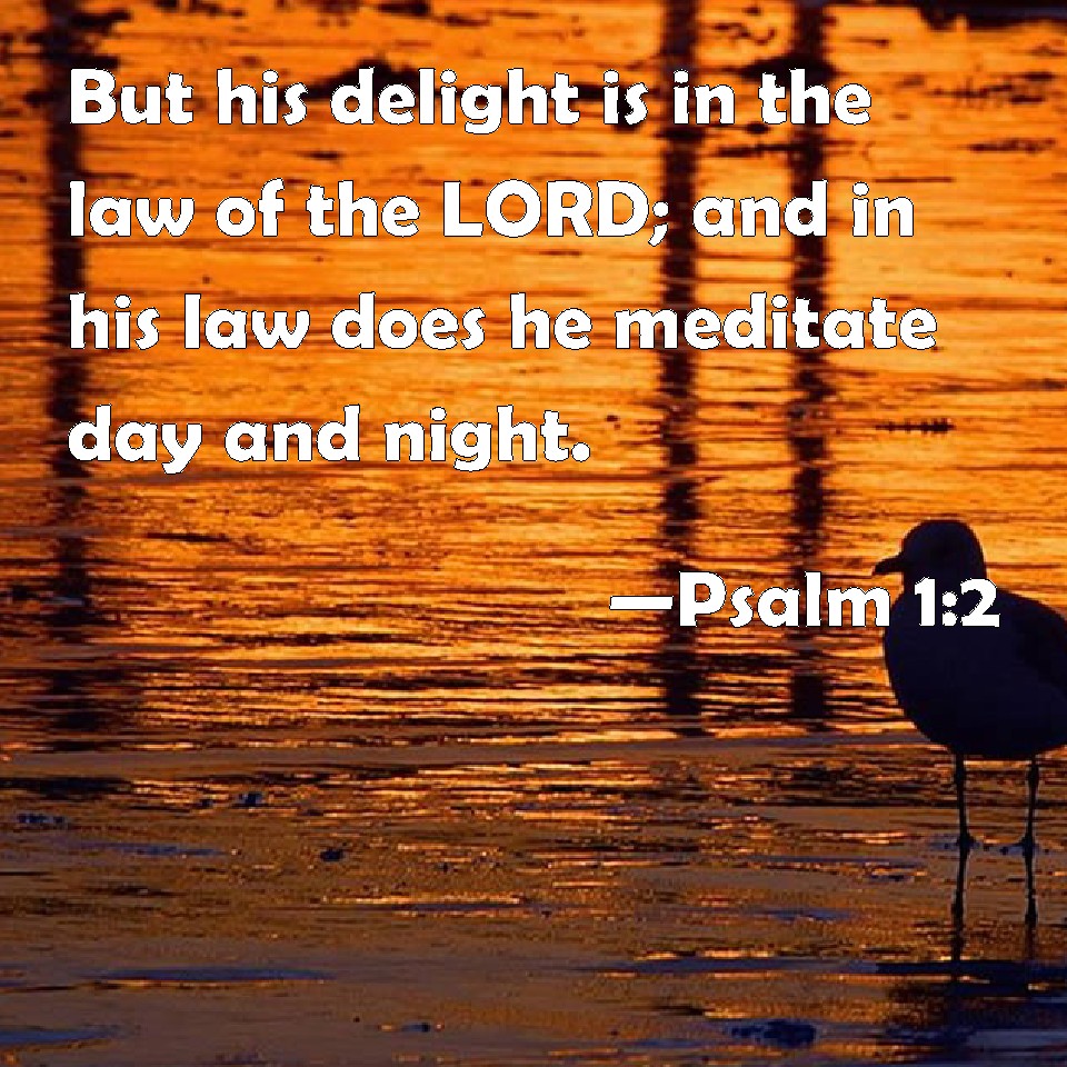 Psalm 1:2 But his delight is in the law of the LORD; and in his law ...