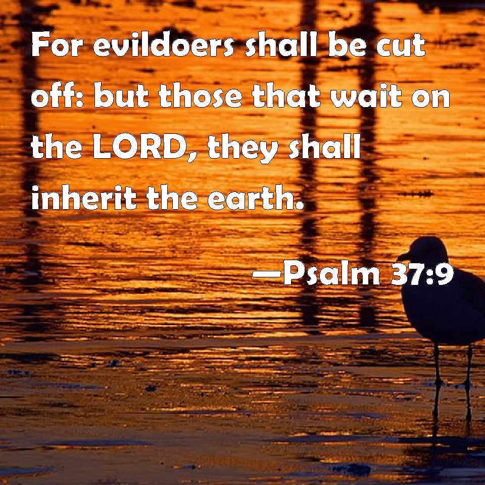 Psalm 37 9 For Evildoers Shall Be Cut Off But Those That Wait On The 