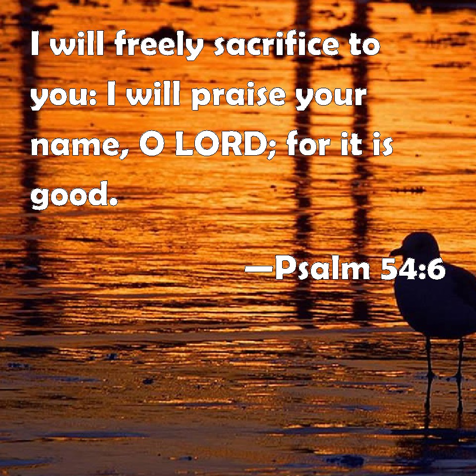 psalm-54-6-i-will-freely-sacrifice-to-you-i-will-praise-your-name-o