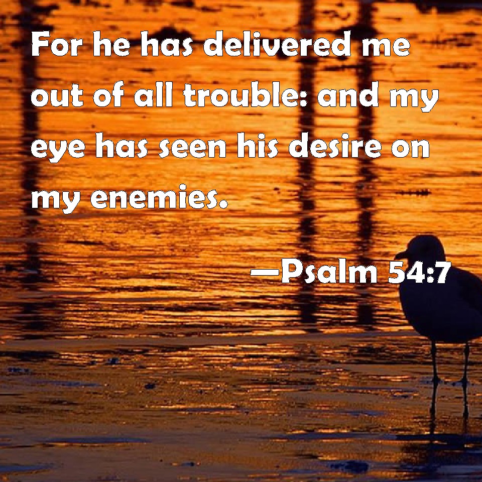 Psalm 54:7 For he has delivered me out of all trouble: and my eye has ...