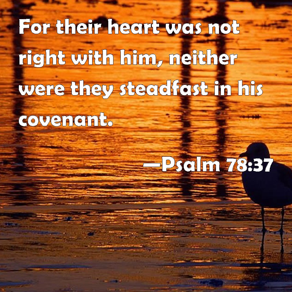 Psalm 78:37 For their heart was not right with him, neither were they  steadfast in his covenant.