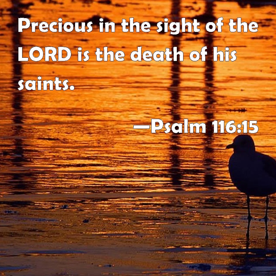 Psalm 116 15 Precious In The Sight Of The LORD Is The Death Of His Saints 