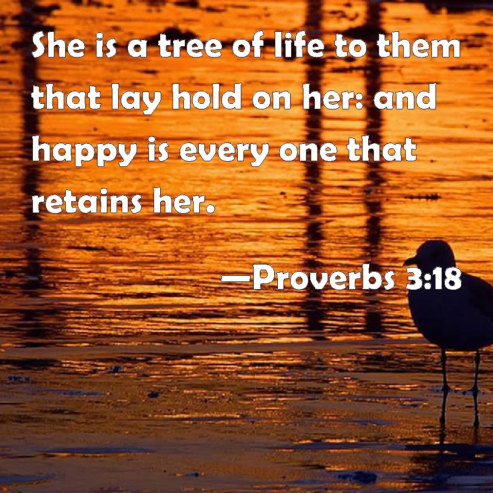 Proverbs 3:18 She is a tree of life to them that lay hold on her: and ...