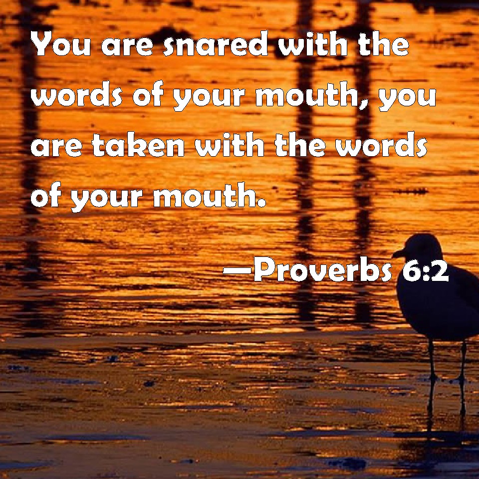 Proverbs 6:2 You Are Snared With The Words Of Your Mouth, You Are Taken  With The Words Of Your Mouth.