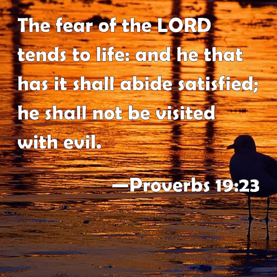Proverbs 19 23 The Fear Of The LORD Tends To Life And He That Has It 