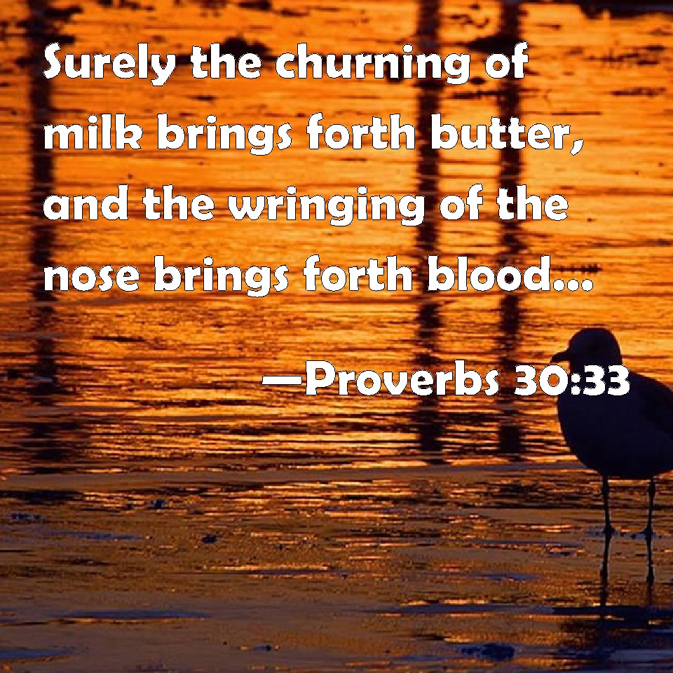 proverbs-30-33-surely-the-churning-of-milk-brings-forth-butter-and-the