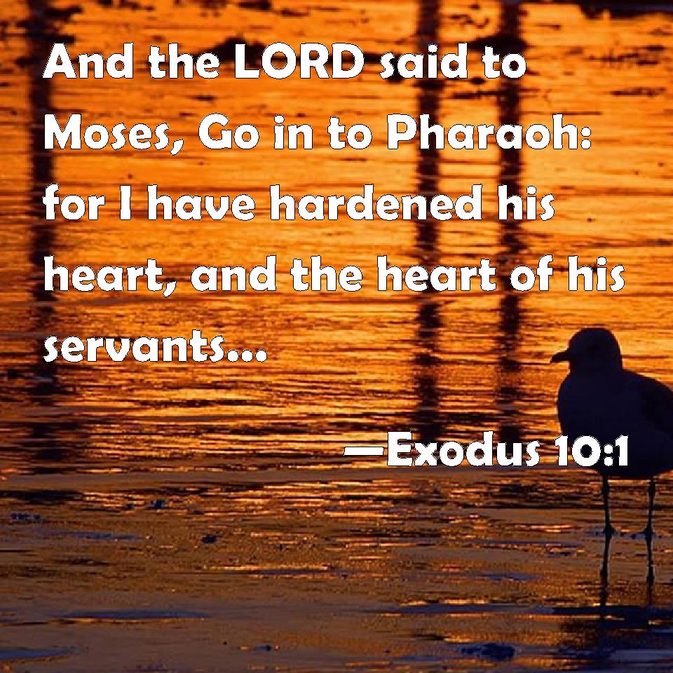 Exodus 10 1 And The Lord Said To Moses Go In To Pharaoh For I Have Hardened His Heart And The
