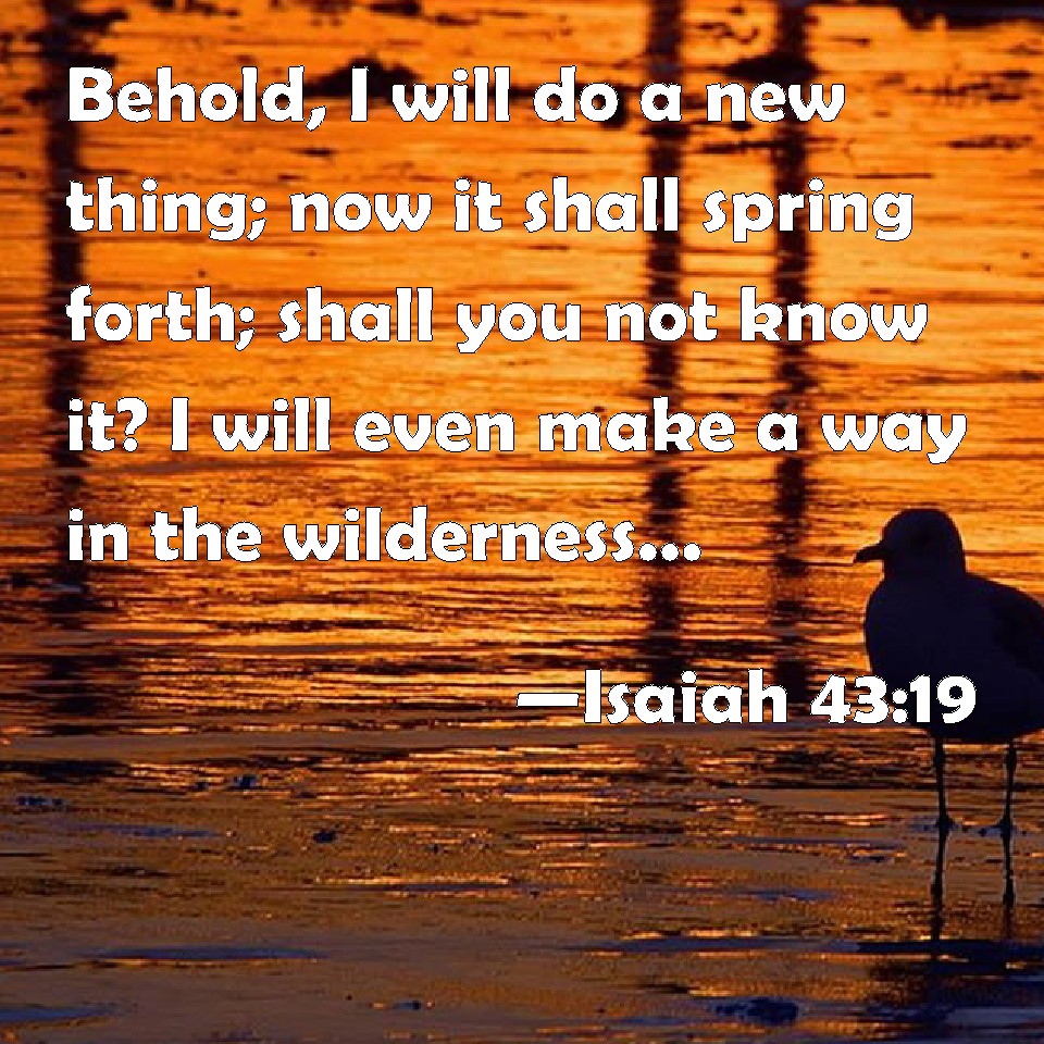 Isaiah 43 19 Behold I Will Do A New Thing Now It Shall Spring Forth 