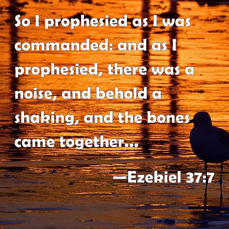 Ezekiel 37:7 So I prophesied as I was commanded: and as I prophesied ...