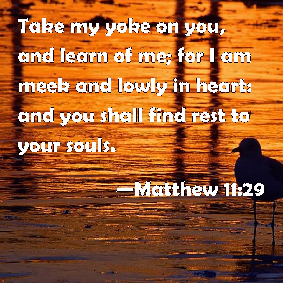 Matthew 11 29 Take My Yoke On You And Learn Of Me For I Am Meek And 