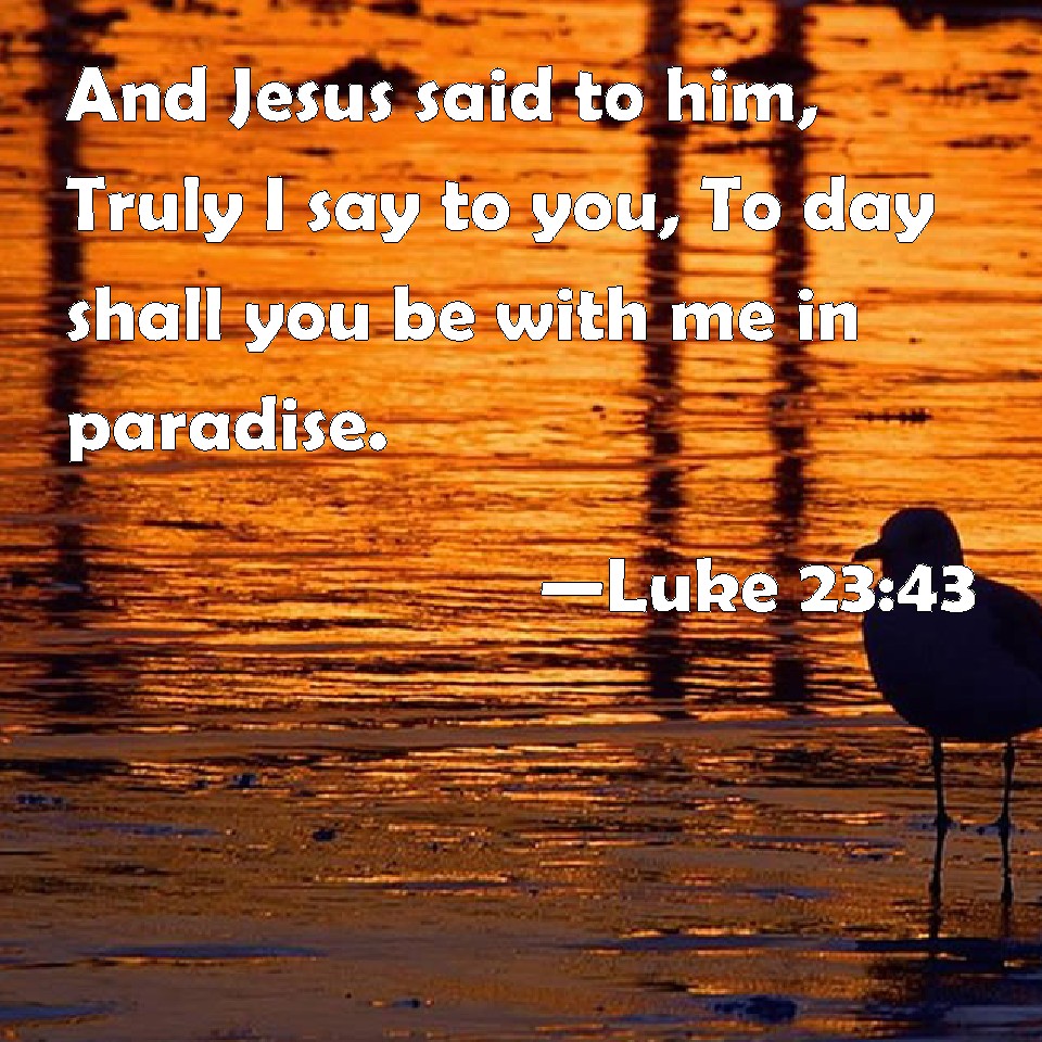 Luke 23:43 And Jesus said to him, Truly I say to you, To day shall you ...