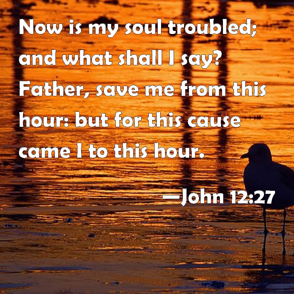 john-12-27-now-is-my-soul-troubled-and-what-shall-i-say-father-save