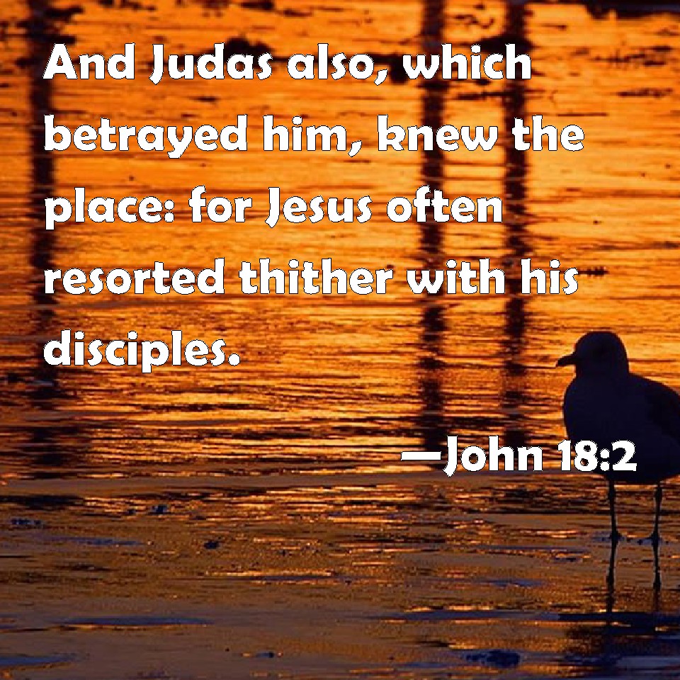 John 18:2 And Judas also, which betrayed him, knew the place: for Jesus ...