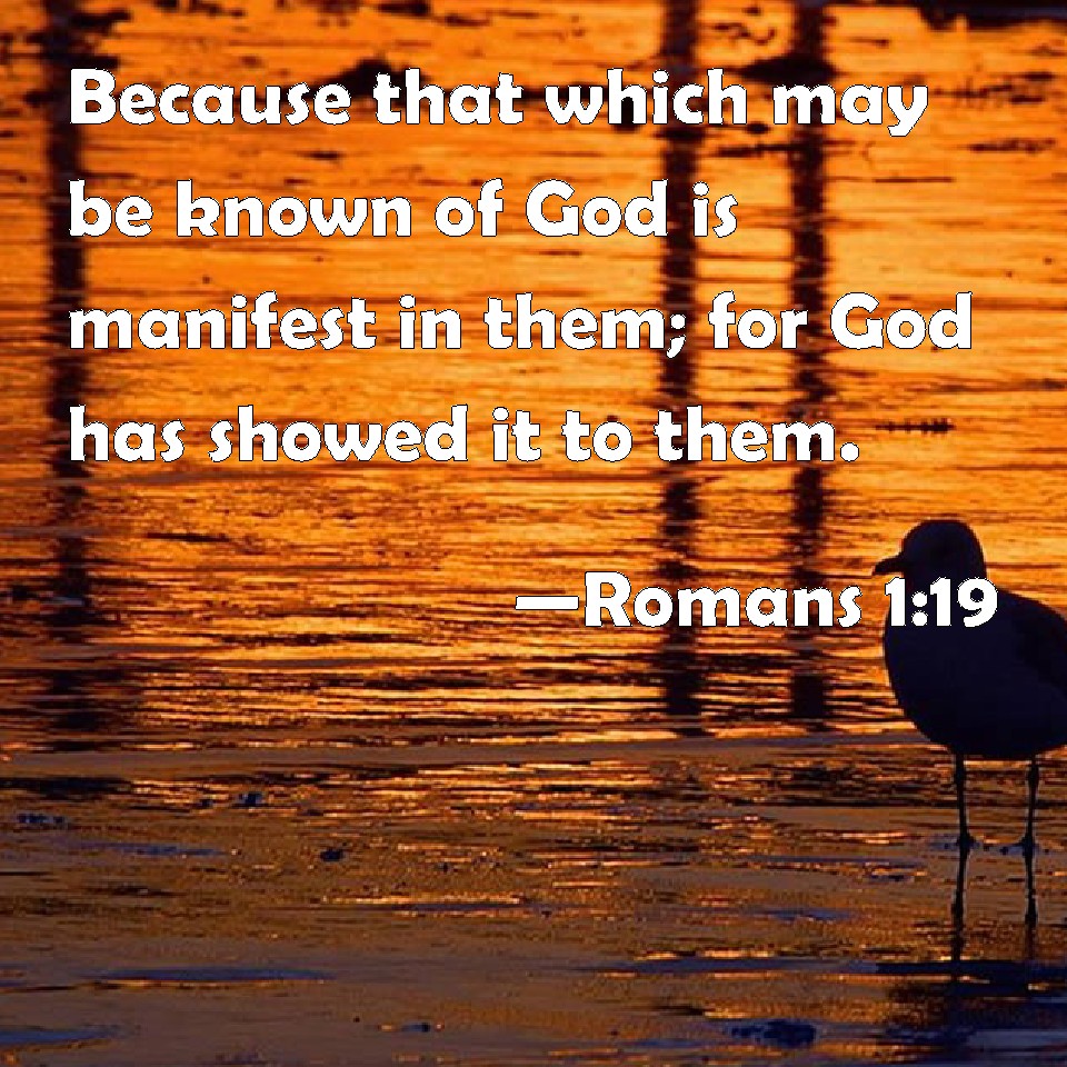 Romans 1:19 Because that which may be known of God is manifest in them ...
