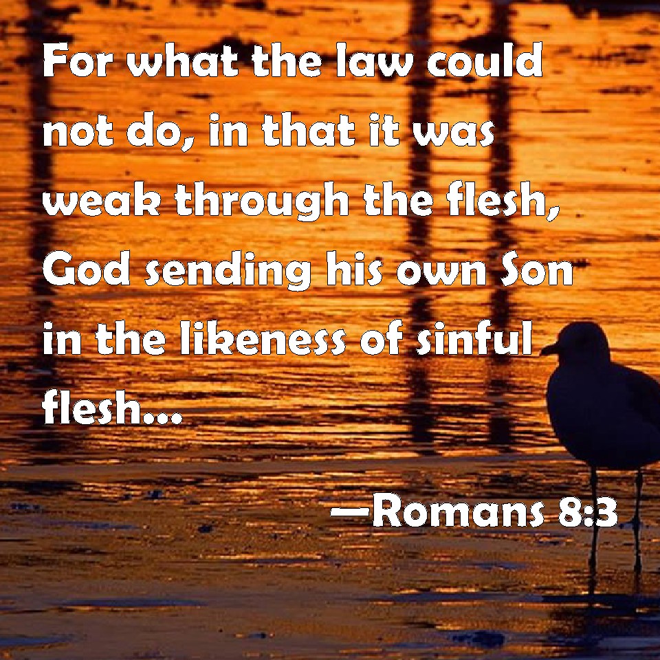 Romans 8:3 For what the law could not do, in that it was weak through ...