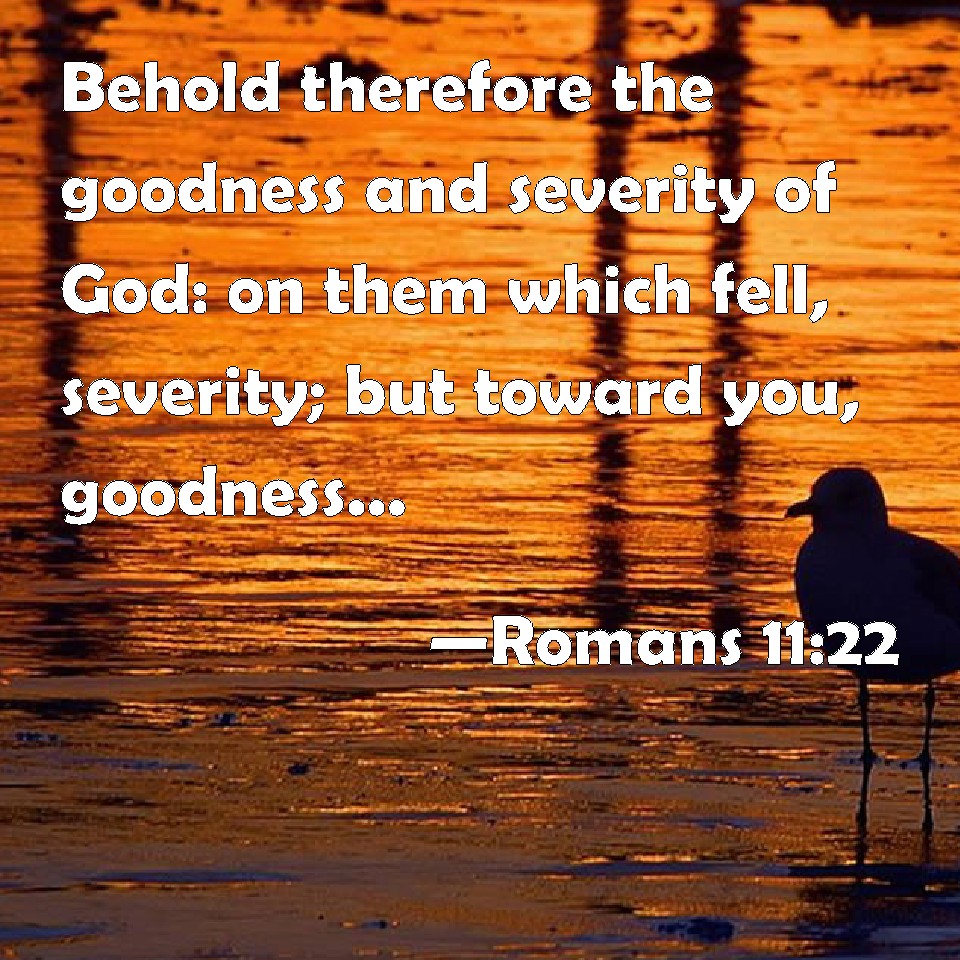 Romans 11:22 Behold Therefore The Goodness And Severity Of God: On Them 