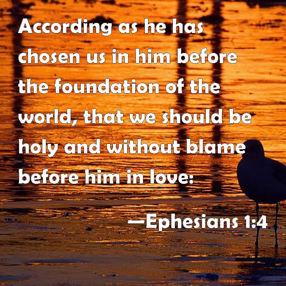 Ephesians 1:4 According as he has chosen us in him before the ...