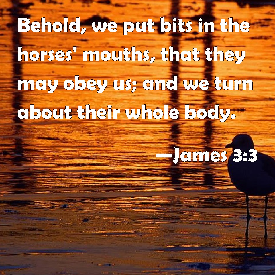 James 3:3 Behold, we put bits in the horses' mouths, that they may obey ...