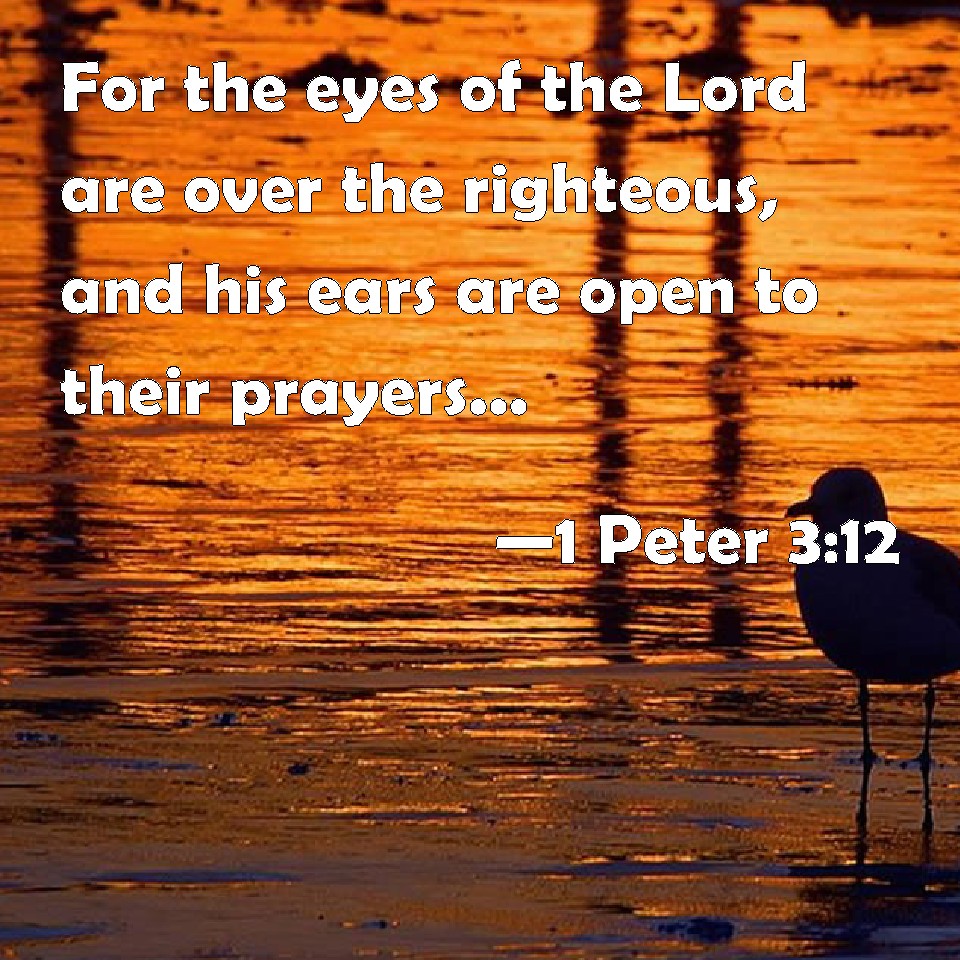 1 Peter 3:12 For the eyes of the Lord are over the righteous, and his ...