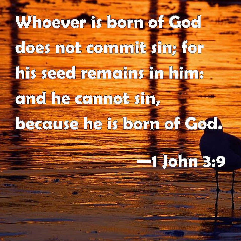 1-john-3-9-whoever-is-born-of-god-does-not-commit-sin-for-his-seed