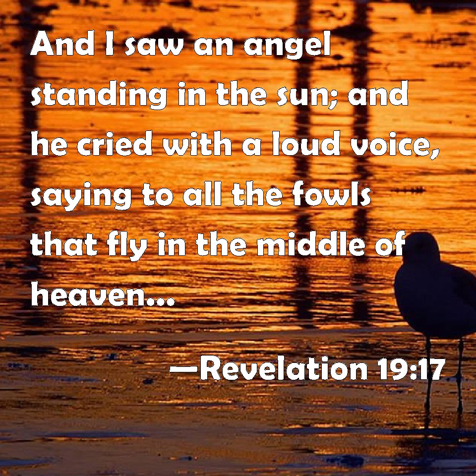 Revelation 19 17 And I Saw An Angel Standing In The Sun And He Cried With A Loud Voice Saying