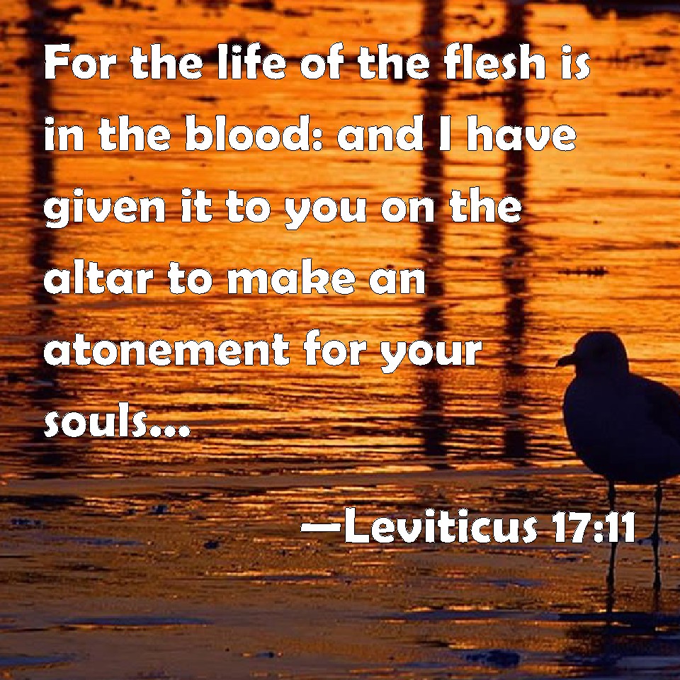 life is in the blood kjv