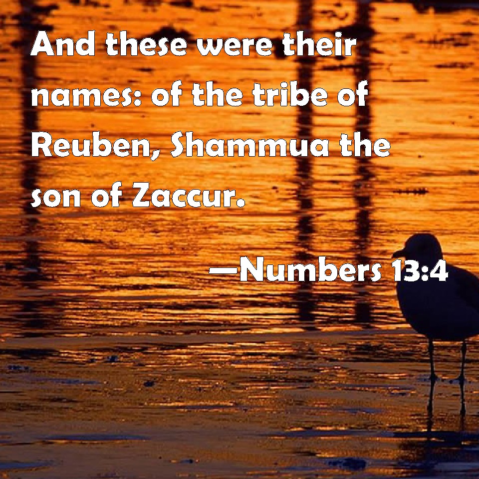 numbers-13-4-and-these-were-their-names-of-the-tribe-of-reuben