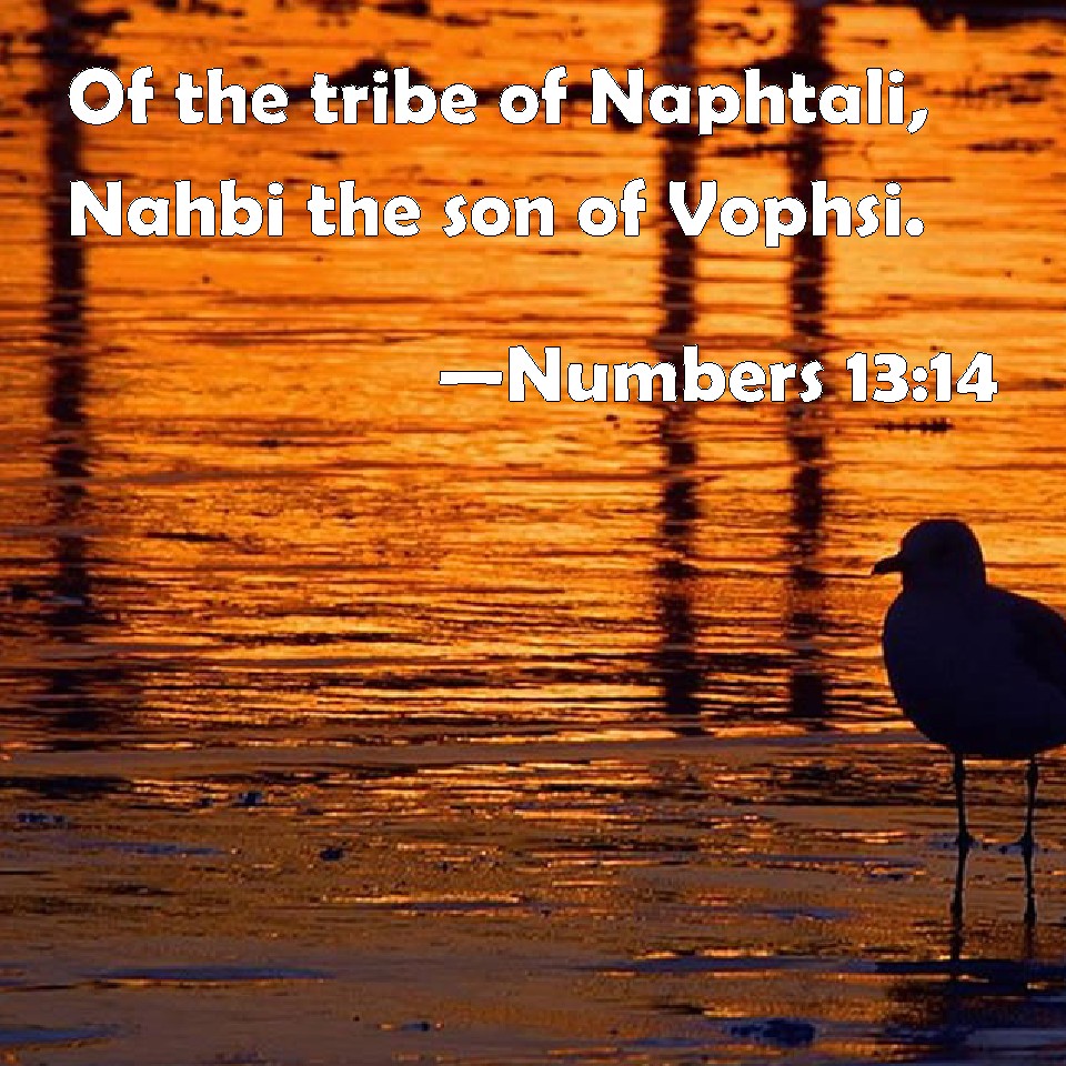 numbers-13-14-of-the-tribe-of-naphtali-nahbi-the-son-of-vophsi