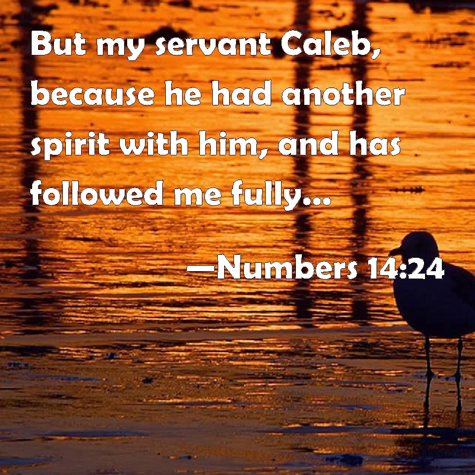 numbers-14-24-but-my-servant-caleb-because-he-had-another-spirit-with