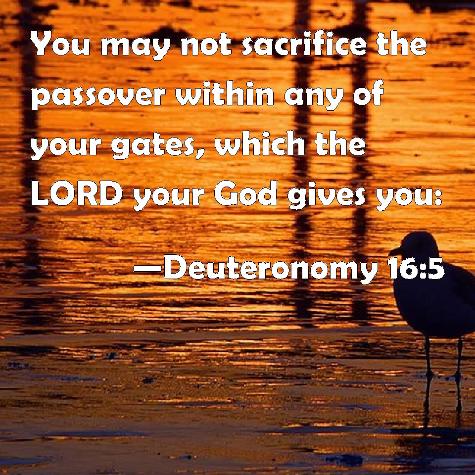 Deuteronomy 16:5 You May Not Sacrifice The Passover Within Any Of Your ...