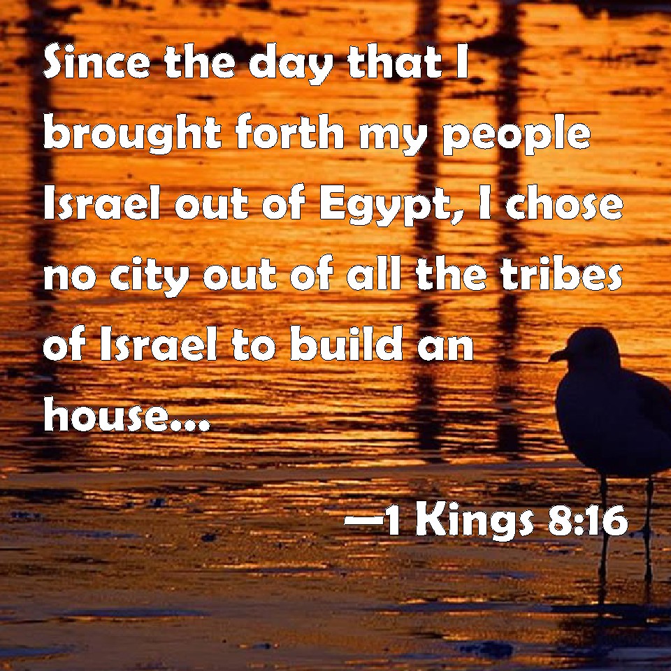 1-kings-8-16-since-the-day-that-i-brought-forth-my-people-israel-out-of