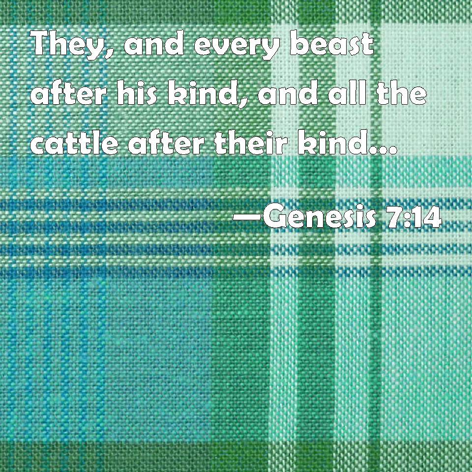 Genesis 7:14 They, and every beast after his kind, and all the cattle ...