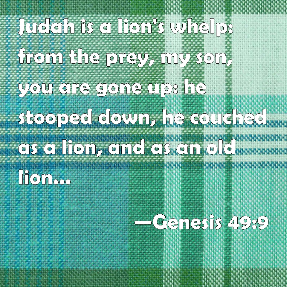 Genesis 49:9 Judah is a lion's whelp: from the prey, my son, you are ...