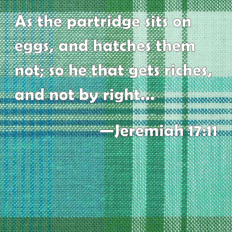 Jeremiah 17:11 As The Partridge Sits On Eggs, And Hatches Them Not; So He  That Gets Riches, And Not By Right, Shall Leave Them In The Middle Of His  Days, And At