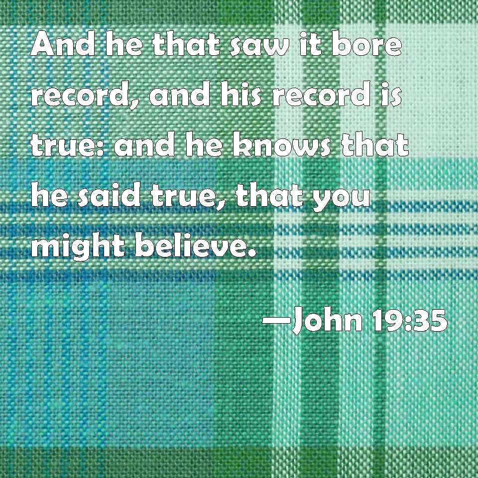 john-19-35-and-he-that-saw-it-bore-record-and-his-record-is-true-and